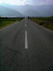 oƍR