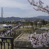 쒷^