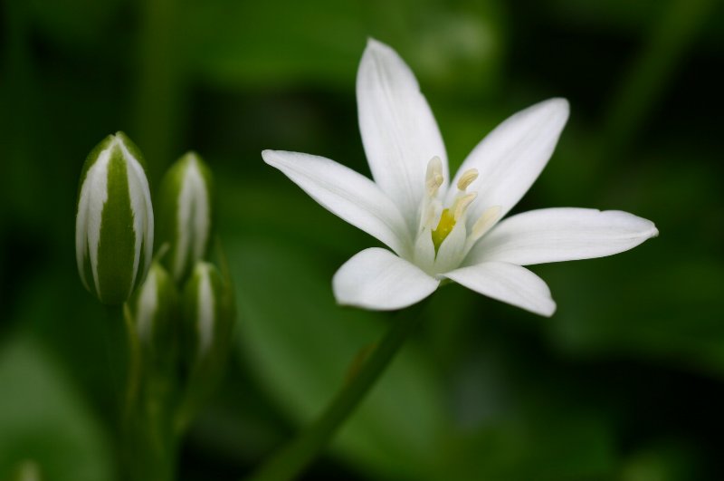 �������܂�