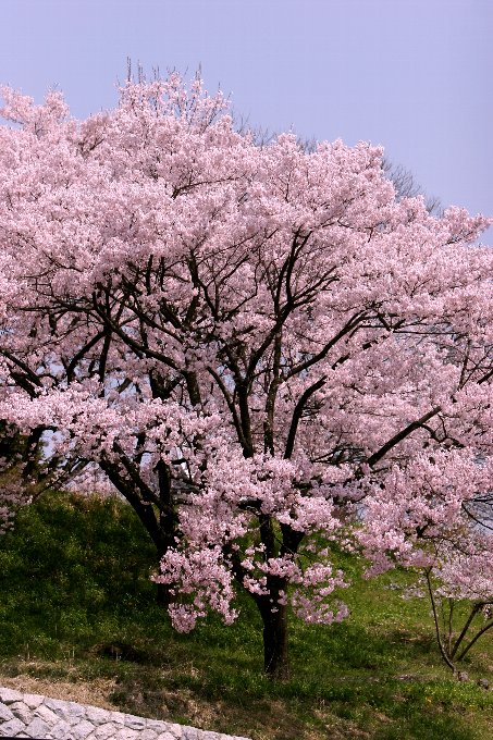 �����R�q�K���U�N��