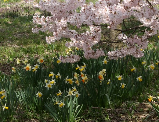 �X�C�Z���Ƃ�����