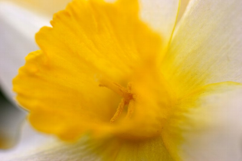 ����@��������