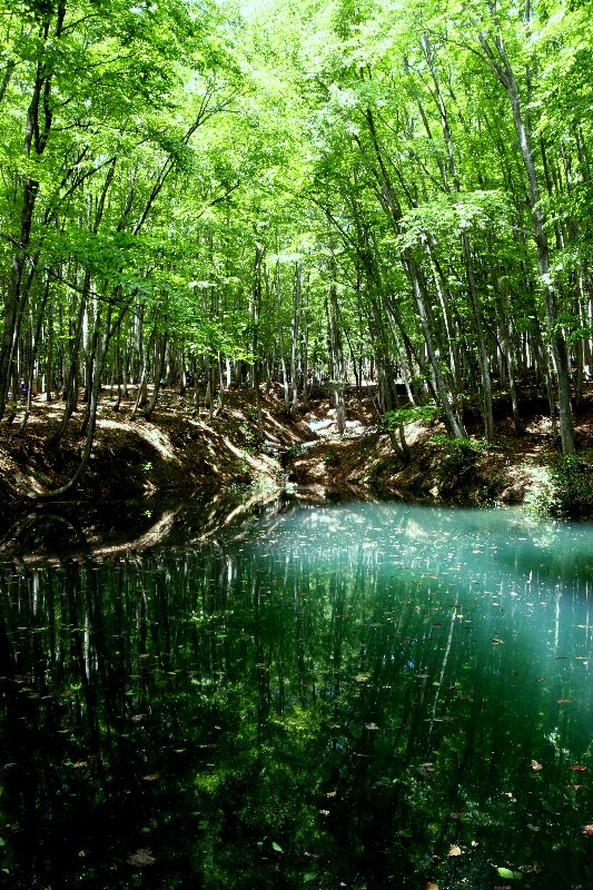 ���V�R�@���l��