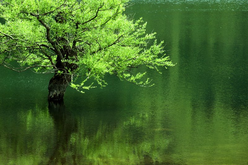 �k���ΌΖ�