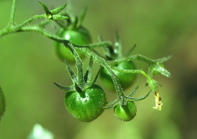 �~�j�g�}�g