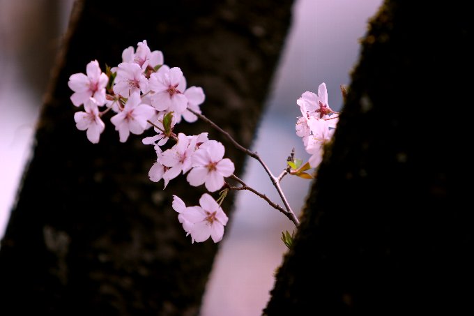 �R�q�K���U�N��