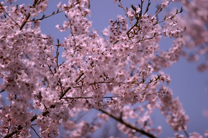 �����R�q�K���U�N��