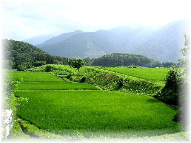 �x�m����ːK