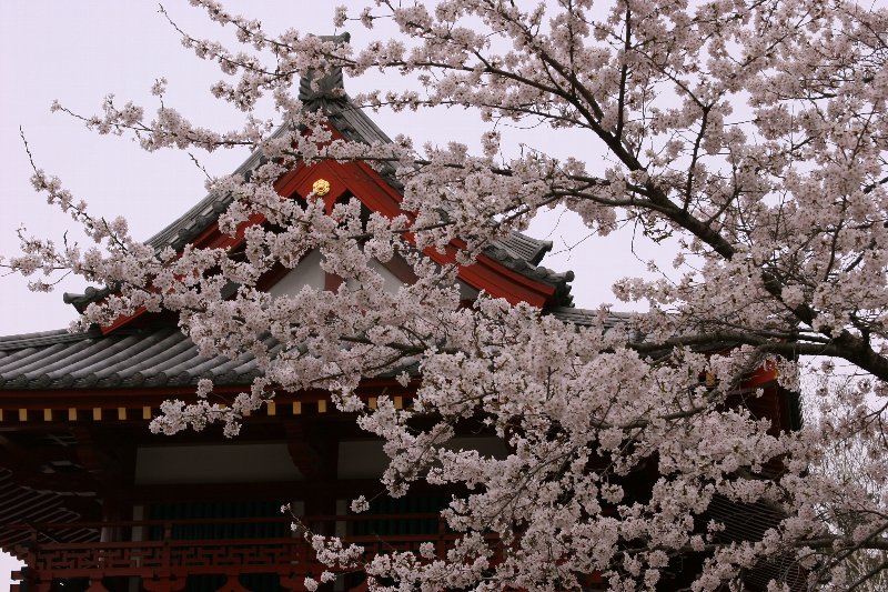 �Q�O�O�T������