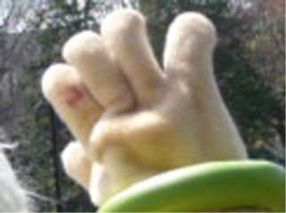 クリーニング出さなきゃ・・・