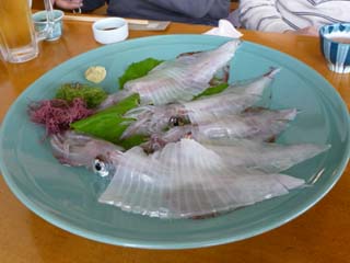 翌日、呼子「海宝」でイカ刺しをいただく。