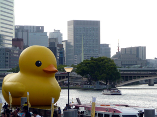そんなことよりアヒル見にいってきた