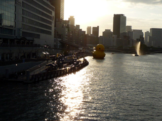 夕日に映えるアヒルらしきもの