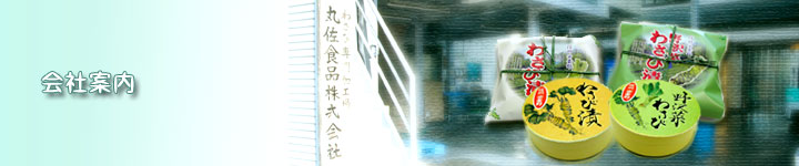 会社案内