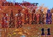21nov calendar