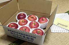 下山誘導協力員報酬の松本市岡田神沢産りんご
