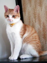 ����݂����