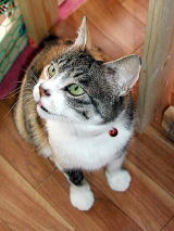 �₦�����