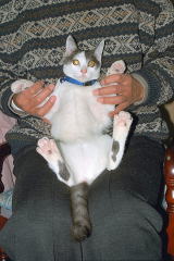 �����Y����