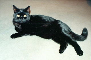 �̂т̂у��[��