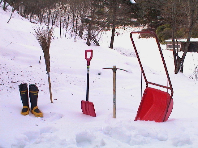 �Ⴉ������