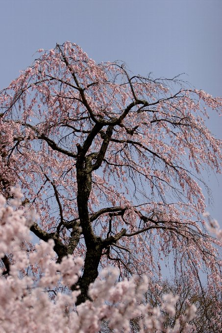 �����@������N