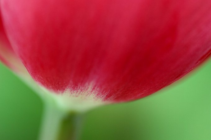 �X���`���[���b�v