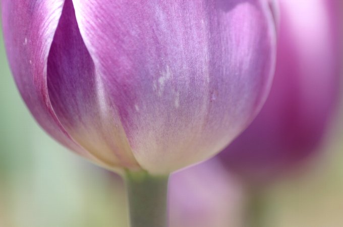 �`���[���b�v