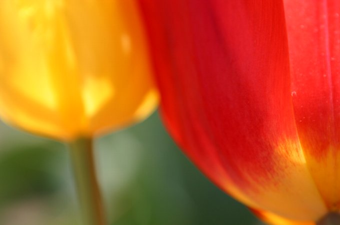 �X���`���[���b�v