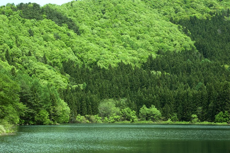 �k���΂O�T