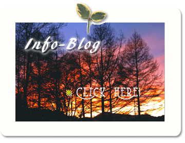 �����w����info-blog(�C���t�H���[�V�����p�u���O)�փ����N