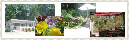 山梨・八ヶ岳パイ工房、外観・庭のお花・パラソルのあるテラス・屋根(藤蔓棚)のあるテラス