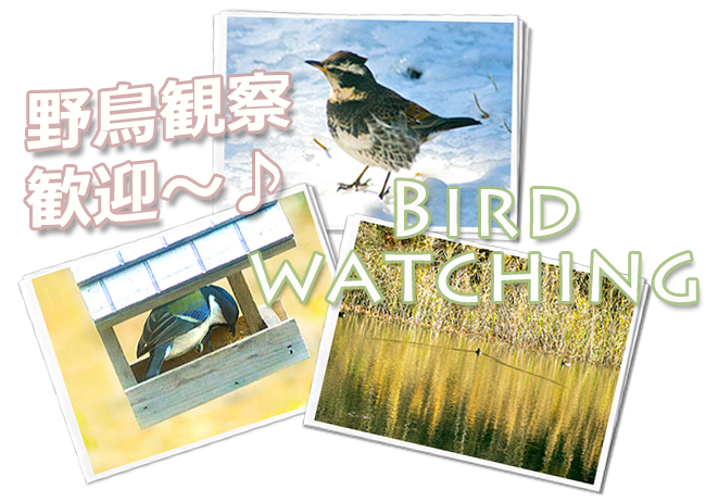 a favored walking course in Bird Sanctuary around 'Marchen'