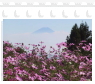 八ヶ岳高原の秋、コスモスと富士山