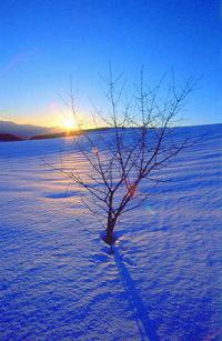 「雪原に日が沈む・・・・・・静かだ」