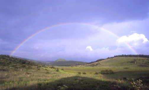 雨上がりの涼しさと共に、踊場湿原に大きな虹が出ました。